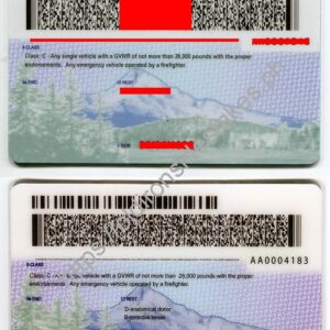 Oregon Driver License(New OR)
