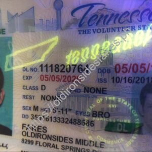 Tennessee Driver License(TN O21)